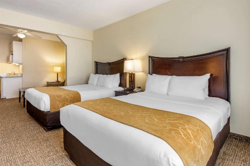 Comfort Suites Maingate East At Old Town image 15