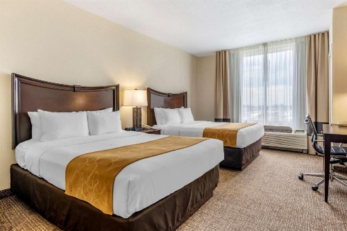 Comfort Suites Maingate East At Old Town image 16
